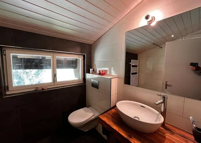 Eiger Nest 公寓 格林德瓦