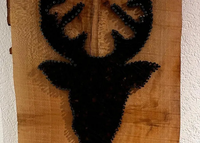 Eiger Nest 公寓 格林德瓦