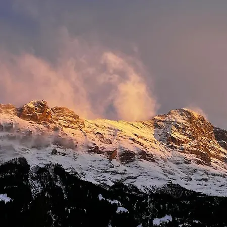 Eiger Nest Lägenhet Grindelwald