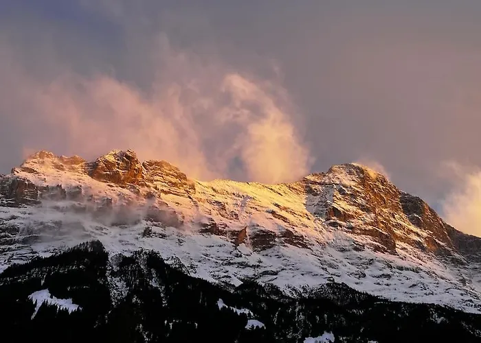 Eiger Nest 公寓 格林德瓦