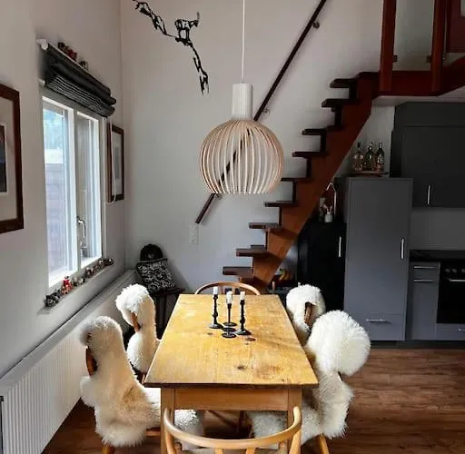 Eiger Nest 公寓 格林德瓦